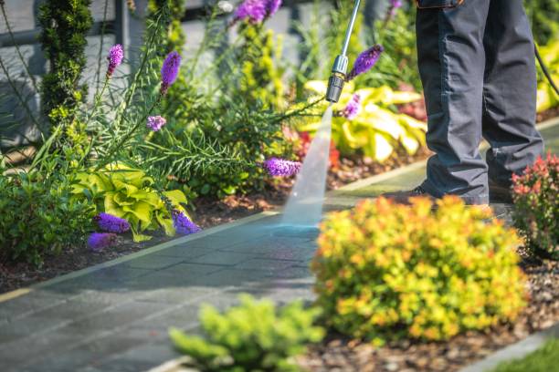 Best Dumpster Area Cleaning  in Lost Hills, CA